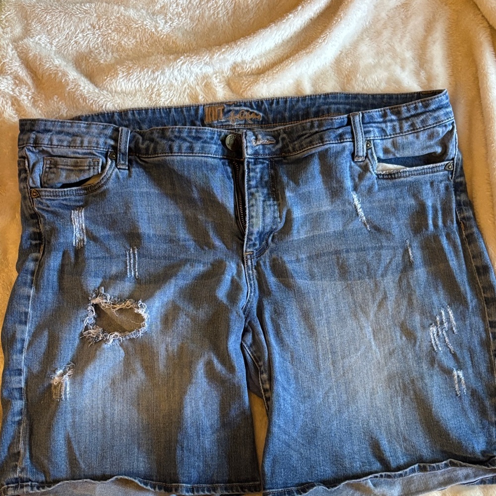 Rue21 Light Blue Embroidered Waist Denim Shorts